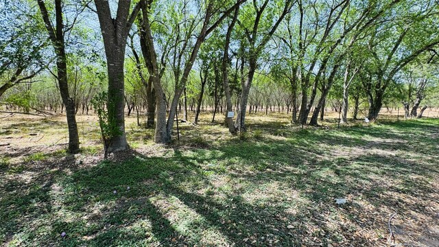 LOT26/27 10th St, Premont, TX 78375 - photo 4