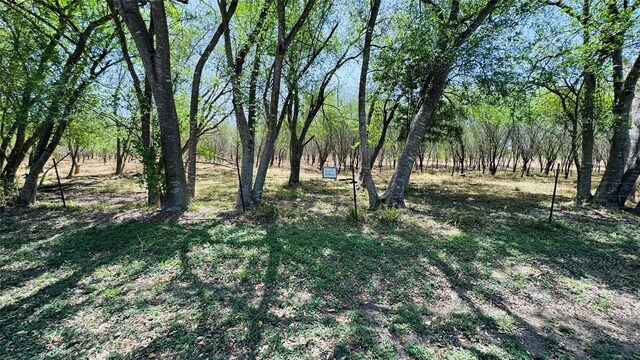 LOT26/27 10th St, Premont, TX 78375 - photo 5