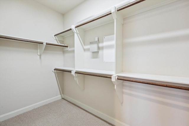 spacious closet featuring light colored carpet
