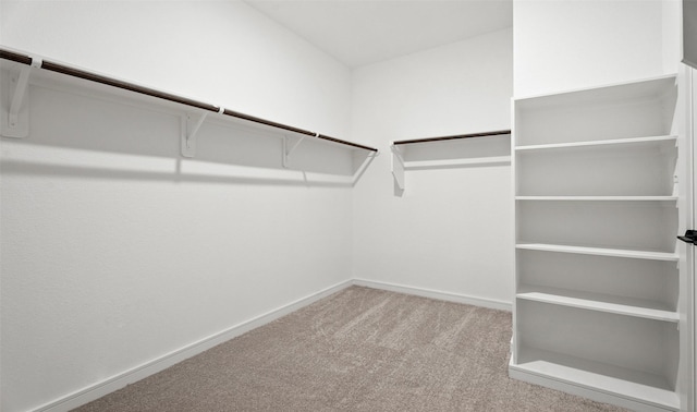 924 Wormwood Dr, League City, TX 77573 - spacious closet featuring carpet