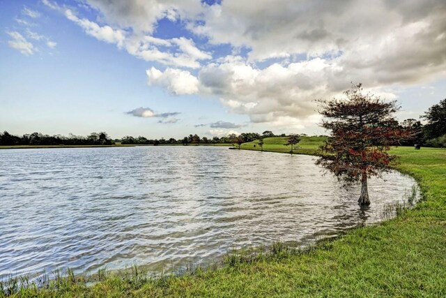 924 Wormwood Dr, League City, TX 77573 - water view