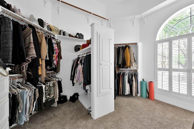 108 Somerton Dr, Montgomery, TX 77356 - spacious closet with carpet