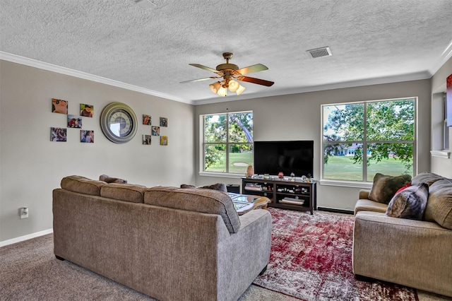 108 Somerton Dr, Montgomery, TX 77356 - carpeted living area with crown molding, ceiling fan, baseboards, and a textured ceiling
