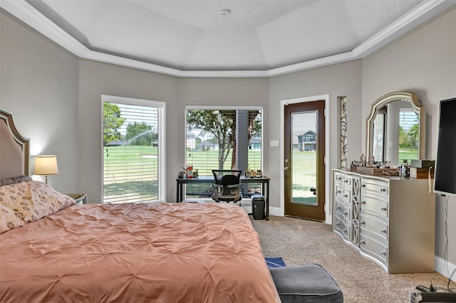 108 Somerton Dr, Montgomery, TX 77356 - bedroom with carpet floors, a tray ceiling, access to exterior, multiple windows, and ornamental molding