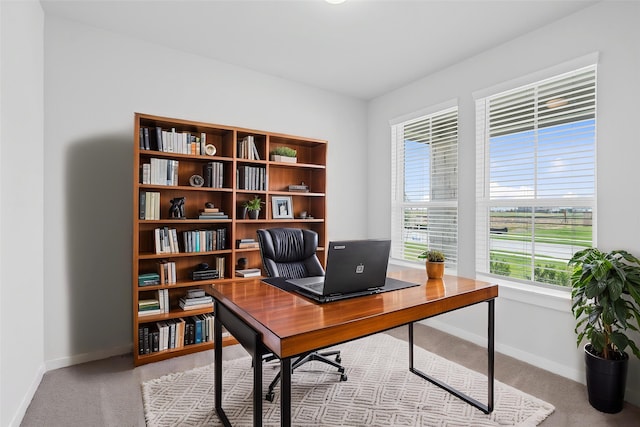 365 Spruce Oak Ln, Waller, TX 77484 - office space featuring baseboards and light colored carpet