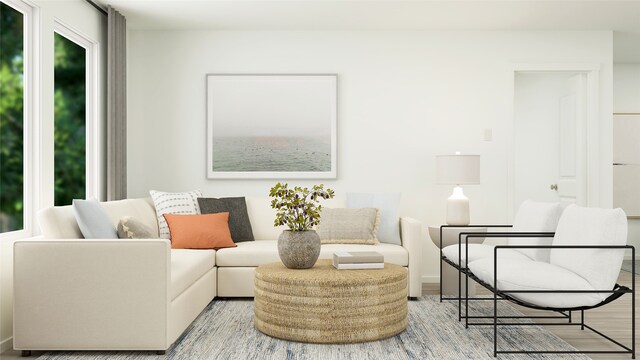 living room featuring wood finished floors