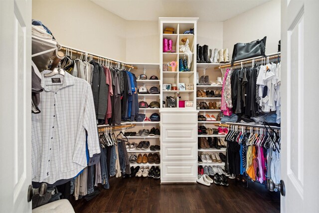 spacious closet featuring wood finished floors