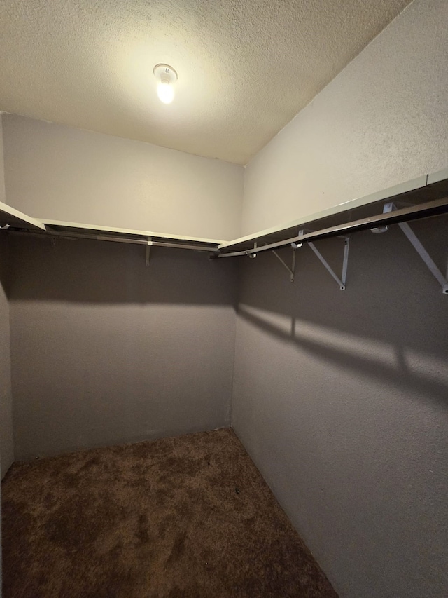 17230 Imperial Valley Dr Unit 69, Houston, TX 77060 - photo 14