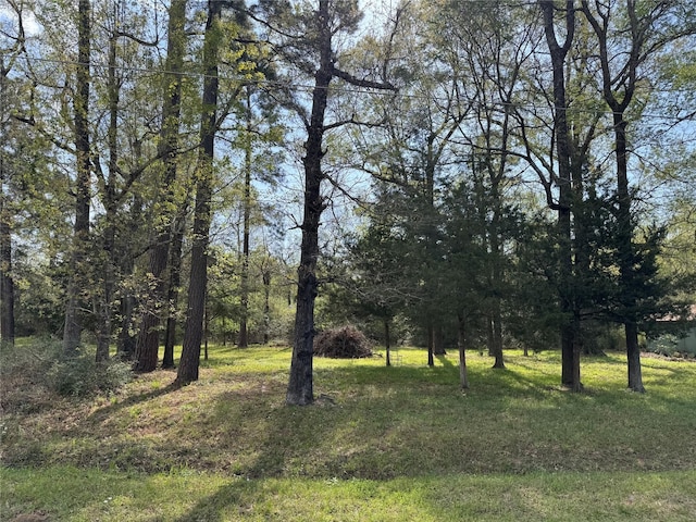 TBD Lake Livingston Blvd, Livingston, TX 77351 - photo 1