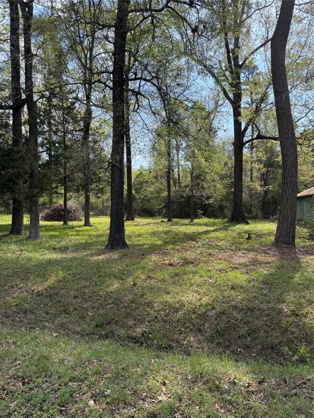 TBD Lake Livingston Blvd, Livingston, TX 77351 - photo 7