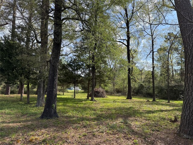 TBD Lake Livingston Blvd, Livingston, TX 77351 - photo 9