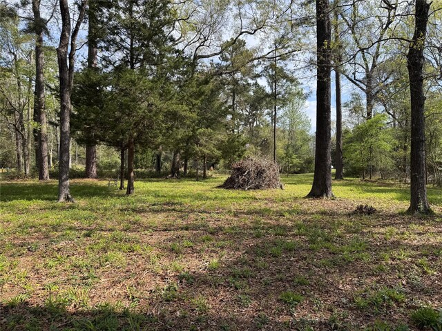 TBD Lake Livingston Blvd, Livingston, TX 77351 - photo 10