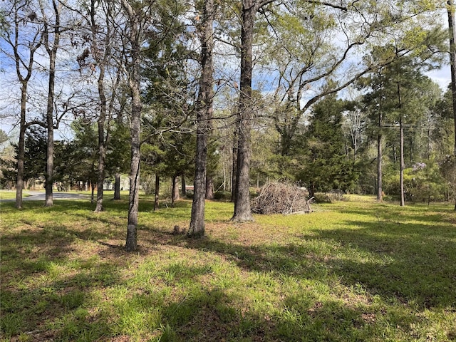 TBD Lake Livingston Blvd, Livingston, TX 77351 - photo 2