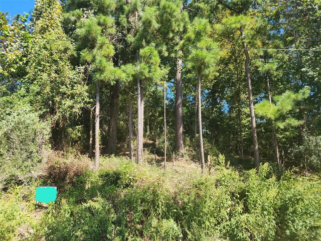 0 Cedar Ln, Livingston, TX 77351