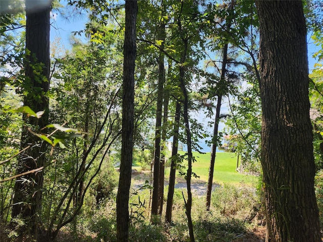 0 Cedar Ln, Livingston, TX 77351