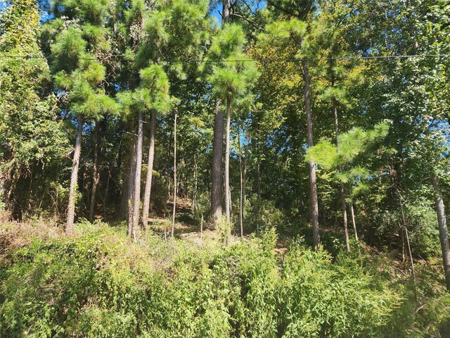 0 Cedar Ln, Livingston, TX 77351