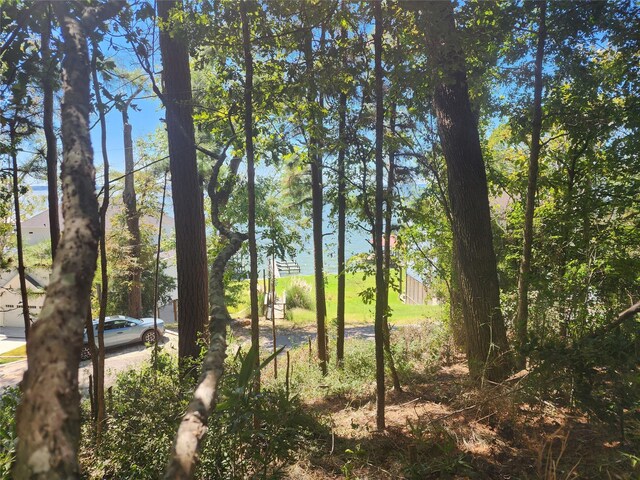 0 Cedar Ln, Livingston, TX 77351