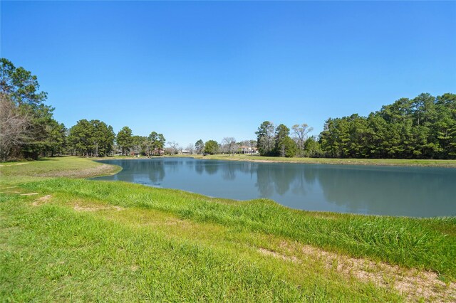 33922 High Point Dr, Magnolia, TX 77355 - water view