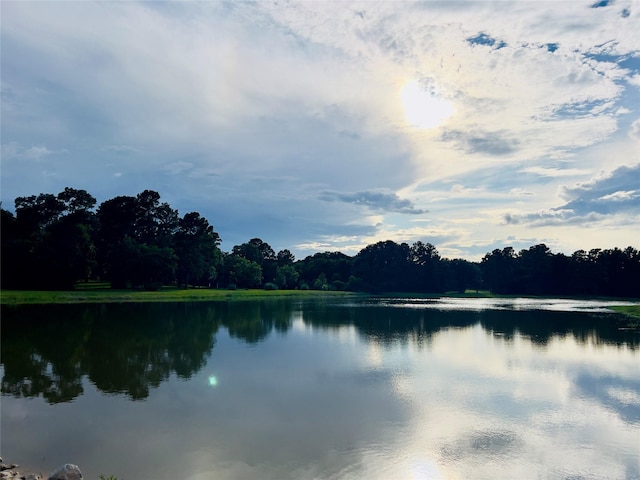 33922 High Point Dr, Magnolia, TX 77355 - water view featuring a forest