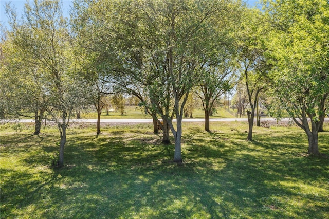 2630 Davis Bend Rd, Alvin, TX 77511