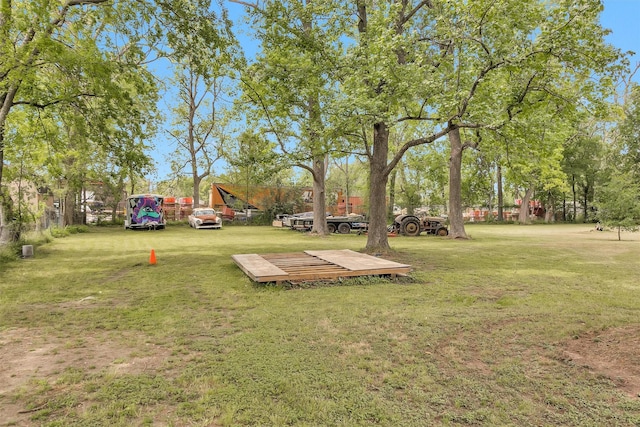 1725 Strawn Rd, Houston, TX 77039 - view of green lawn