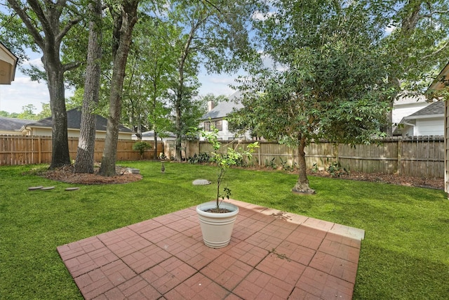 view of yard featuring a patio area and a fenced backyard