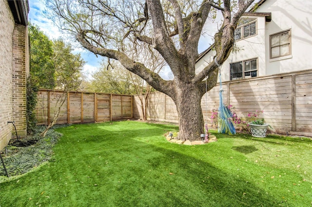 3702 Blue Bonnet, Houston, TX 77025 - view of yard