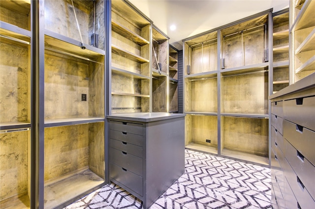 3702 Blue Bonnet, Houston, TX 77025 - view of spacious closet