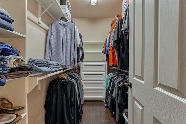 spacious closet featuring dark wood-type flooring