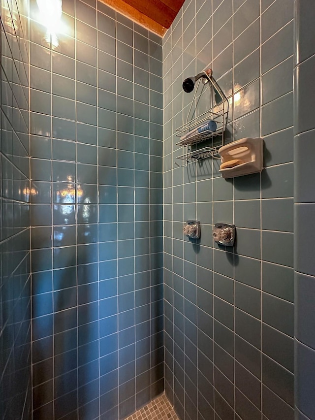 bathroom with a tile shower