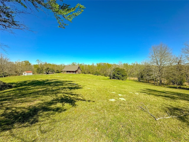view of yard with an outbuilding