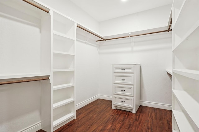 spacious closet featuring dark wood-style floors
