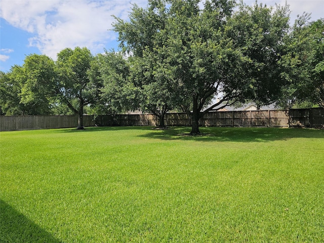 17310 Calico Peak Way, Cypress, TX 77433 - view of yard