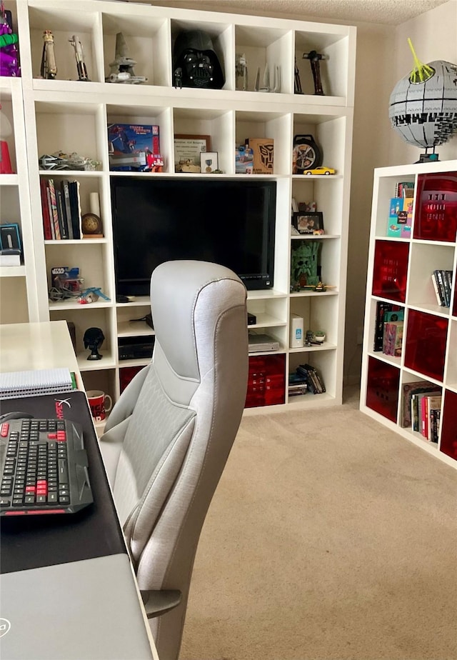 18146 River Sage Dr, Houston, TX 77084 - view of carpeted office space