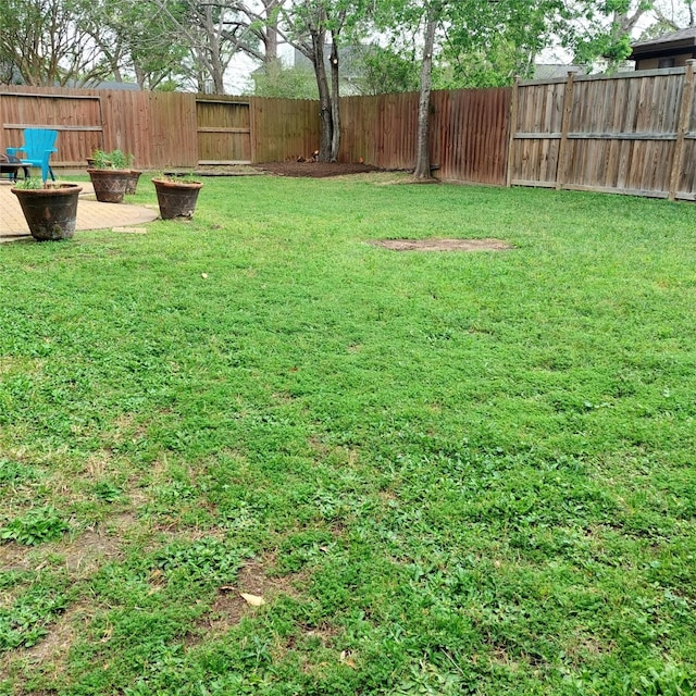 18146 River Sage Dr, Houston, TX 77084 - view of yard
