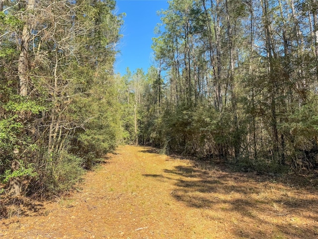 TBD Bowie Rd, Kountze, TX 77625