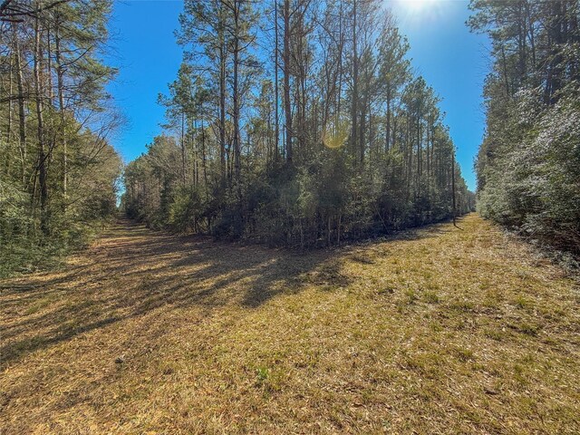 TBD Bowie Rd, Kountze, TX 77625