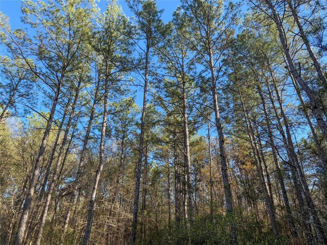 TBD Bowie Rd, Kountze, TX 77625