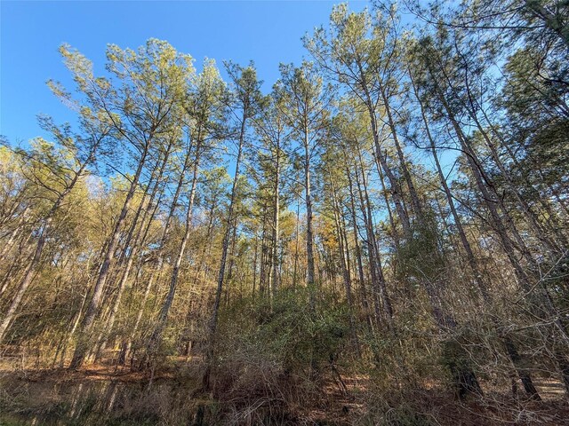 TBD Bowie Rd, Kountze, TX 77625