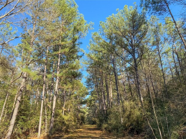 TBD Bowie Rd, Kountze, TX 77625