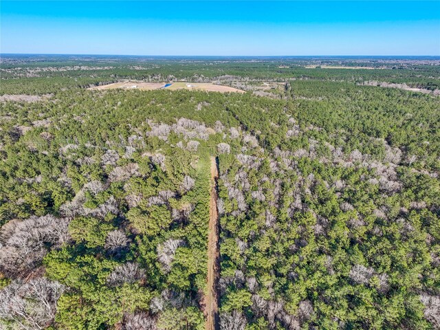 TBD Bowie Rd, Kountze, TX 77625