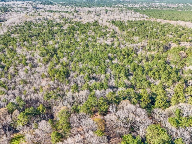 TBD Bowie Rd, Kountze, TX 77625
