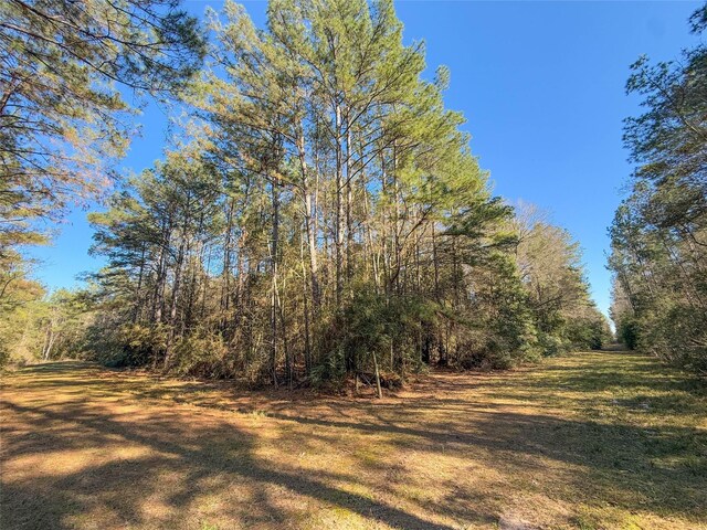 TBD Bowie Rd, Kountze, TX 77625