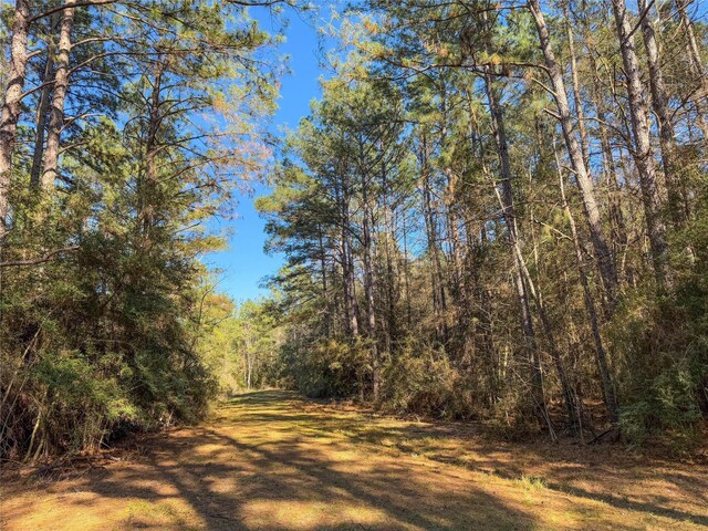 TBD Bowie Rd, Kountze, TX 77625