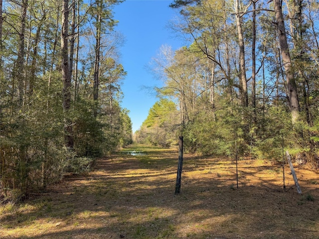 TBD Bowie Rd, Kountze, TX 77625