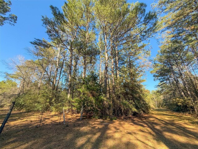 TBD Bowie Rd, Kountze, TX 77625