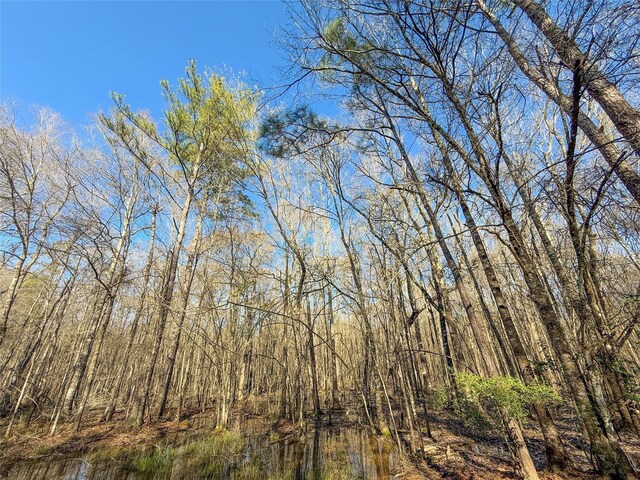 TBD Bowie Rd, Kountze, TX 77625