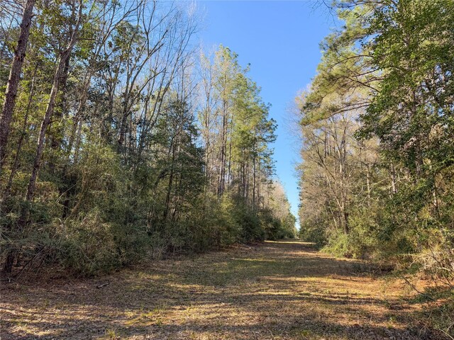 TBD Bowie Rd, Kountze, TX 77625