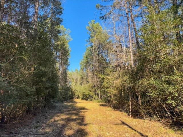 TBD Bowie Rd, Kountze, TX 77625