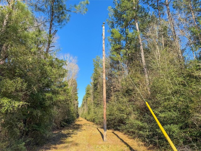 TBD Bowie Rd, Kountze, TX 77625
